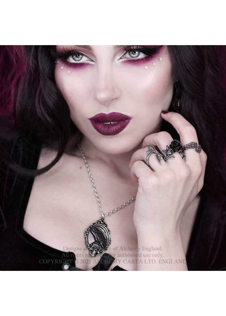 Alchemy Reflections Of Poe Raven Necklace New In