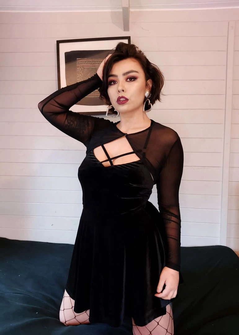 Collectif Marie Mesh 50's Bolero Black New In