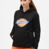 Dickies Womens San Antonio Hoodie Black