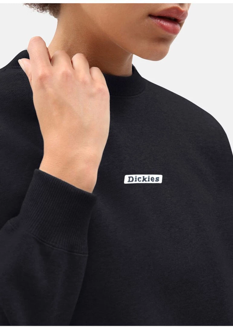 Dickies Womens Ferriday Sweater In Black