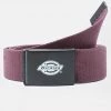 Dickies Orcutt Webbing Belt Maroon New In
