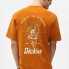 Dickies Mens Bettles Snake T-Shirt Pumpkin Spice Orange New In