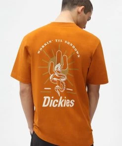 Dickies Mens Bettles Snake T-Shirt Pumpkin Spice Orange New In