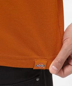 Dickies Mens Bettles Snake T-Shirt Pumpkin Spice Orange New In