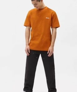 Dickies Mens Bettles Snake T-Shirt Pumpkin Spice Orange New In