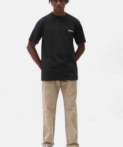 Dickies Mens Bettles Snake T-Shirt Black New In