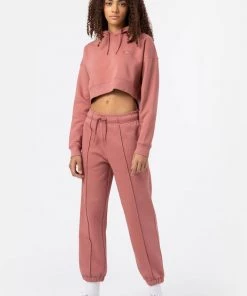 Dickies Women Oakport Cropped Hoodie Pink