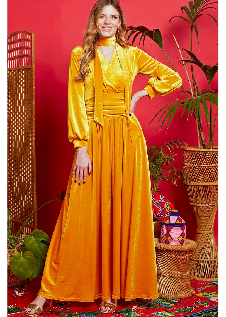 New In Onjenu Sharon Velvet 70's Maxi Dress Gold