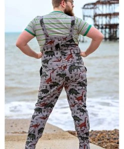 Run And Fly Run & Fly Adventure Dinosaur Twill 70's Dungarees Grey