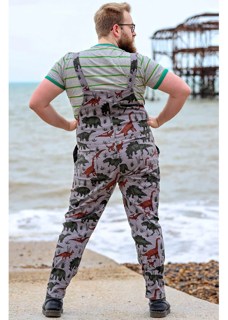 Run And Fly Run & Fly Adventure Dinosaur Twill 70's Dungarees Grey