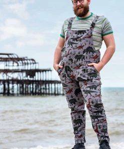 Run And Fly Run & Fly Adventure Dinosaur Twill 70's Dungarees Grey