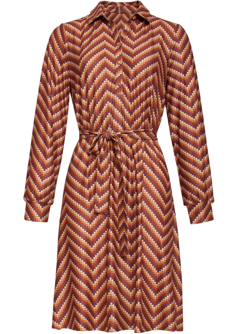New In Smashed Lemon Retro Wave 70's A-Line Dress Sand Brown