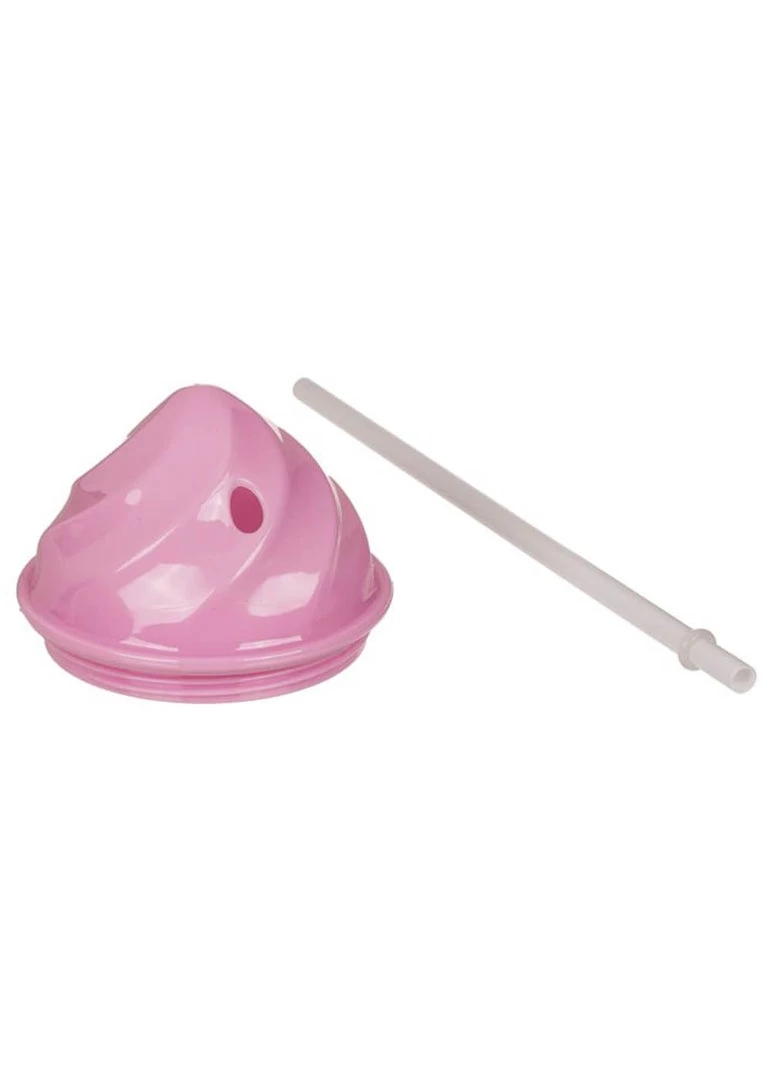 Succubus Gifts Set 2 Ice Cream Tumbler With Straws