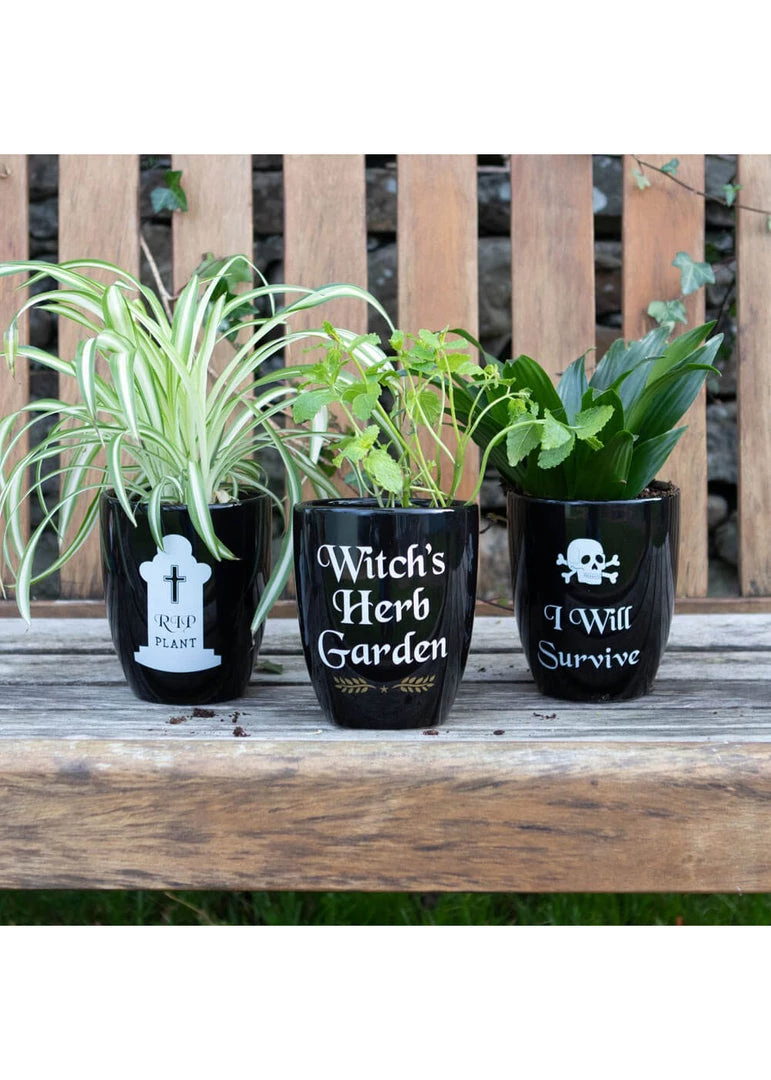 Succubus I Will Survive Gothic Planter Black