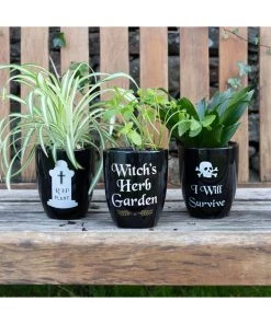 New In Succubus RIP Plant Gothic Planter Black