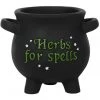 Succubus Herbs For Spells Cauldron Planter Small Black