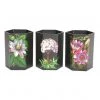 Temerity Jones Botanical Garden Set 3 Pen Pots Black New In