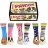 New In United Odd Socks 6 Ladies Socks Pawsome